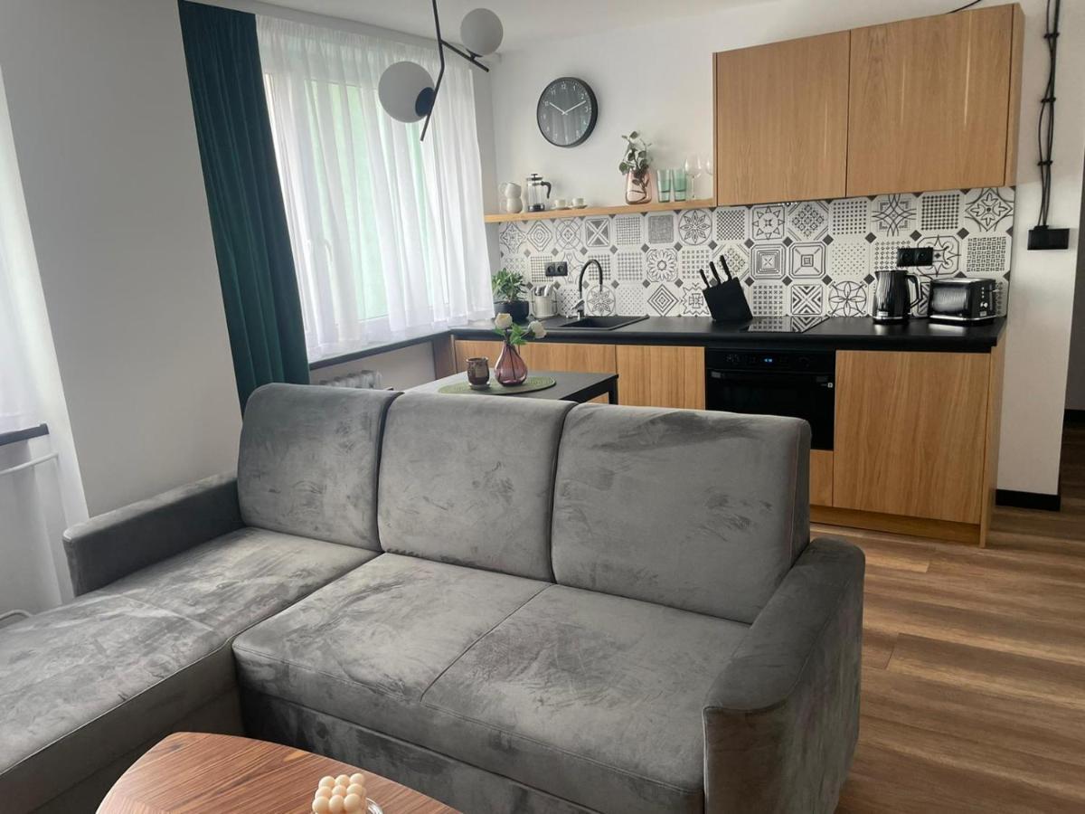 Apartamenty Nadrzeczna 14 Karpacz Exterior foto
