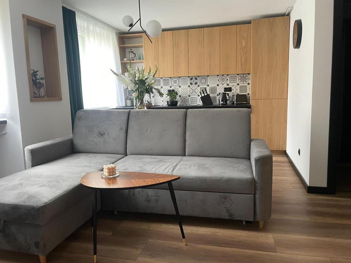 Apartamenty Nadrzeczna 14 Karpacz Exterior foto